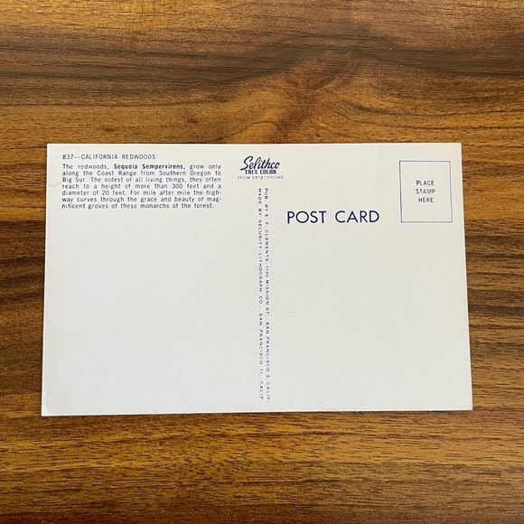 Vintage Postcard Lot 1950s California Giant Redwoods Sequoia Sempervirens Avenue - Picture 8 of 9